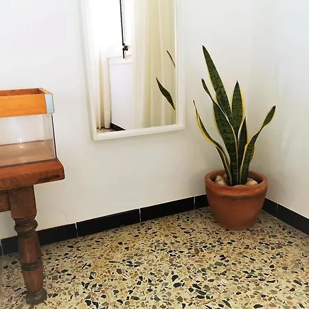 En S'agaro Con Piscina, Terraza Y Se Admiten Mascotas, Cerca Del Mar - Es-298-15 플라티야 다로